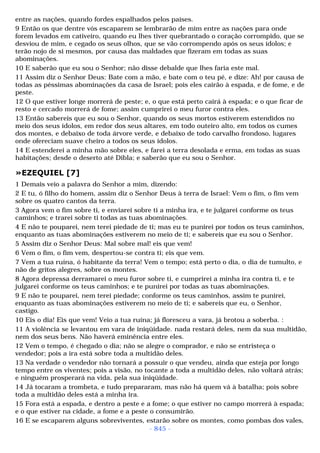 Biblia sagrada (port br)