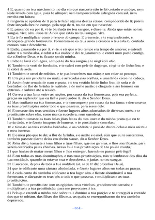 Biblia sagrada (port br)