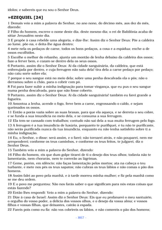 Biblia sagrada (port br)