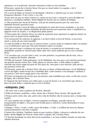 Biblia sagrada (port br)