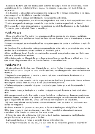 Biblia sagrada (port br)