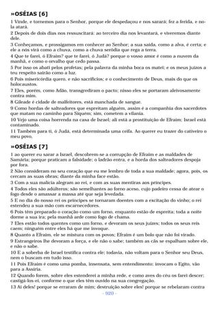 Biblia sagrada (port br)