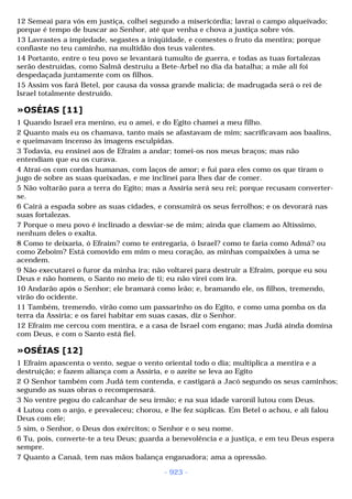 Biblia sagrada (port br)