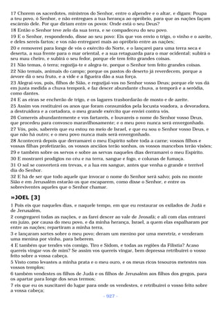 Biblia sagrada (port br)