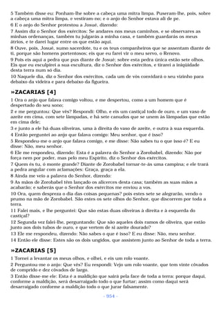 Biblia sagrada (port br)