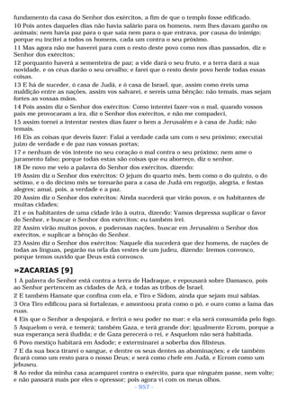 Biblia sagrada (port br)