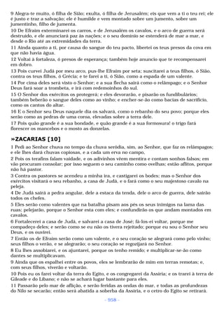 Biblia sagrada (port br)