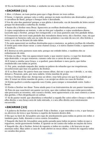 Biblia sagrada (port br)