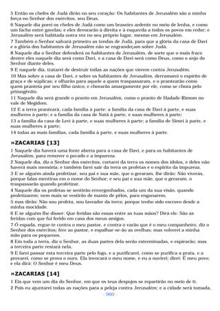 Biblia sagrada (port br)