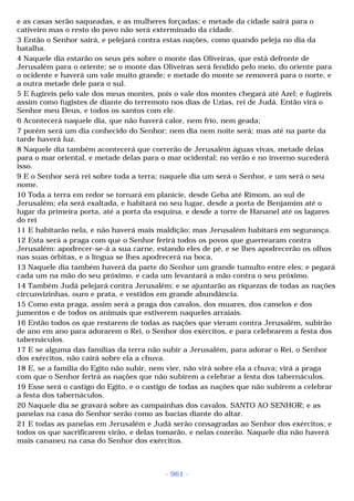 Biblia sagrada (port br)