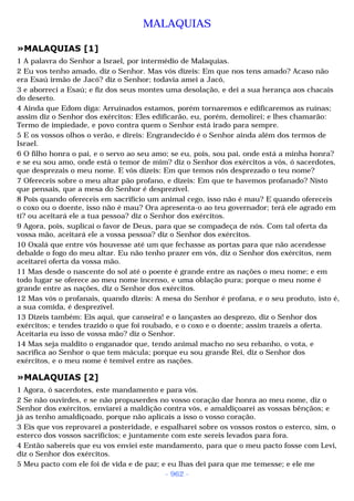 Biblia sagrada (port br)