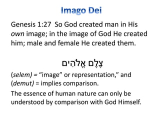 Genesis 1:27 So God created man in His
own image; in the image of God He created
him; male and female He created them.
‫ם‬ֶ‫ל‬ֶ‫צ‬‫ים‬ ִ‫ֹלה‬ֱ‫א‬
(selem) = “image” or representation,” and
(demut) = implies comparison.
The essence of human nature can only be
understood by comparison with God Himself.
 