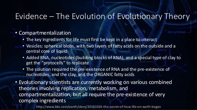 Evolutionists And Creationism Theories About The Existence