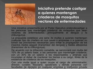 Una iniciativa presentada por el Poder Ejecutivo pretendecastigar a
las personas que mantengan criaderos de mosquitos que sean
vectores de enfermedades, principalmente el dengue y la
chikungunya.
La propuesta establece una serie de multas a quienes mantengan
cualquier tipo de criadero en sus casas o empresas o a quienes no
tomen las previsiones necesarias para evitar la propagación de los
insectos Aedes aegypti (transmisor del dengue) y Aedes albopictus
(transmisor de la chikungunya).
De acuerdo con la infracción cometida, se sancionará con multa del
10% de un salario base, a las personas que mantengan criaderos,
con un 30% de un salario a los responsables y jerarcas que
incumplan el deber de mantener los bienes a su cargo, libres de la
existencia de criaderos de los mosquitos.
Con una multa igual a quien ocupe el cargo de administrador,
director, curador, fiduciario, apoderado y demás personas con
facultades de decisión en cualquier empresa e institución privada
Iniciativa pretende castigar
a quienes mantengan
criaderos de mosquitos
vectores de enfermedades
 