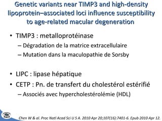 Genetic variants near TIMP3 and high-density lipoprotein–associated loci influence susceptibility to age-related macular degeneration  TIMP3 : metalloprotéinase Dégradation de la matrice extracellulaire Mutation dans la maculopathie de Sorsby LIPC : lipase hépatique CETP : Pn. de transfert du cholestérol estérifié Associés avec hypercholestérolémie (HDL) Chen W & al.  Proc Natl Acad Sci U S A. 2010 Apr 20;107(16):7401-6. Epub 2010 Apr 12. 