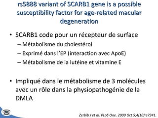 rs5888 variant of SCARB1 gene is a possible susceptibility factor for age-related macular degeneration SCARB1 code pour un récepteur de surface Métabolisme du cholestérol Exprimé dans l’EP (interaction avec ApoE) Métabolisme de la lutéine et vitamine E Impliqué dans le métabolisme de 3 molécules avec un rôle dans la physiopathogénie de la DMLA Zerbib J et al. PLoS One. 2009 Oct 5;4(10):e7341. 
