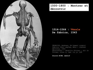 1500-1800 : Montrer et
découvrir




 1514-1564 : Vésale
 De fabrica, 1543



 VESALIUS, Andreas, De humani corpori
 fabrica libri septem, Bâle : Joannes
 Oporinus, 1543
 Dessinateur : Vecellio Tiziano , dit le
 Titien, livre 2, tab. 13, p. 206

 Source BIUM, medic@
 