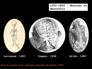 1500-1800 : Montrer et
                                          découvrir




  Lairesse, 1680                Cowper, 1698             Bildo, 1685


Pour en savoir plus, rubrique anatomie de medic@, BIUM
 