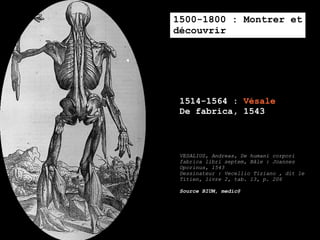 1500-1800 : Montrer et
découvrir




 1514-1564 : Vésale
 De fabrica, 1543



 VESALIUS, Andreas, De humani corpori
 fabri...
