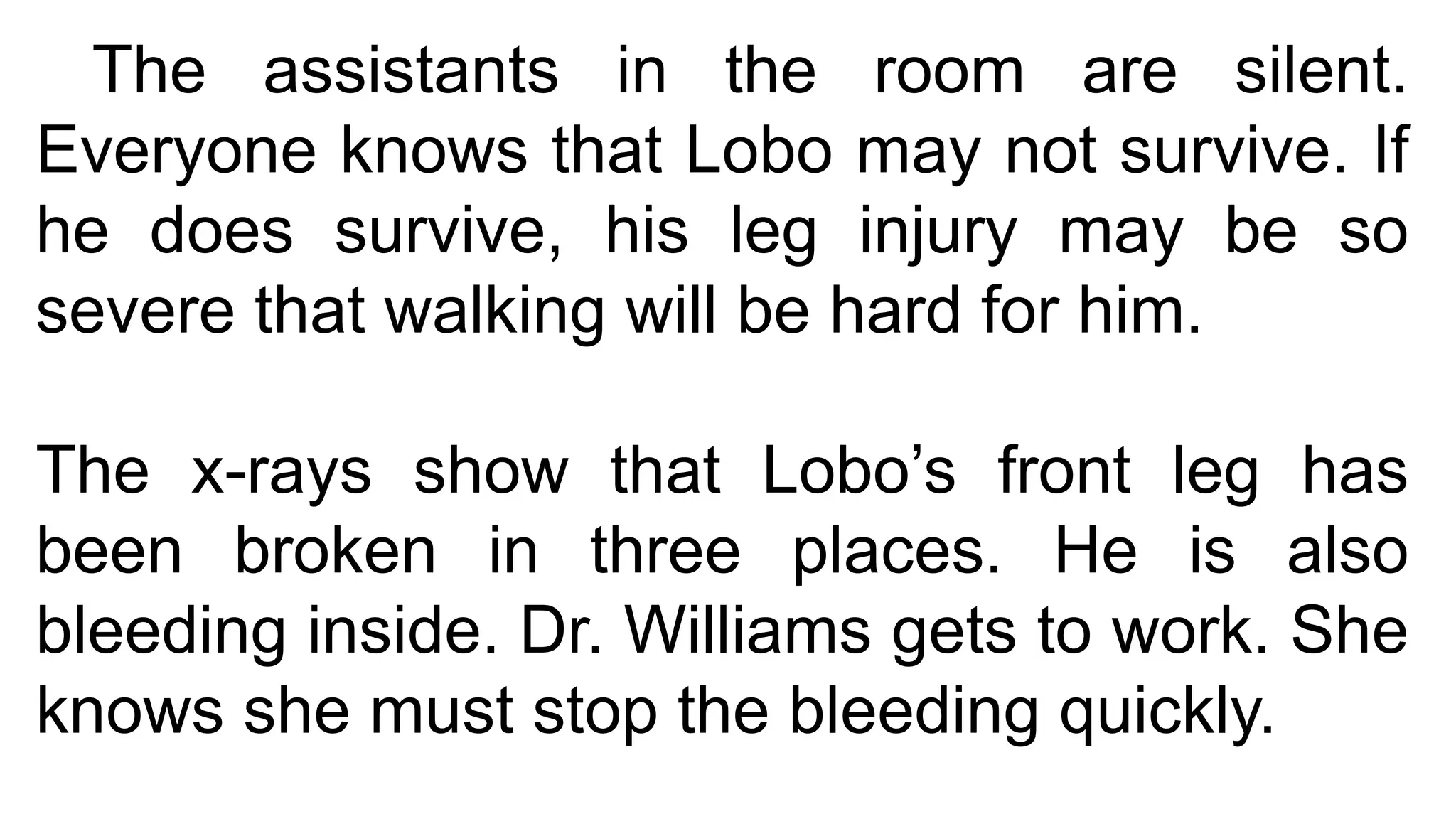 The assistants in the room are silent.
Everyone knows that Lobo may not survive. If
he does survive, his leg injury may be so
severe that walking will be hard for him.
The x-rays show that Lobo’s front leg has
been broken in three places. He is also
bleeding inside. Dr. Williams gets to work. She
knows she must stop the bleeding quickly.
 