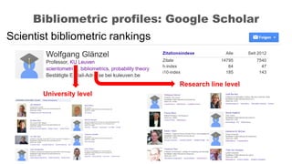 Bibliometric profiles: Google Scholar
University level
Research line level
Scientist bibliometric rankings
 