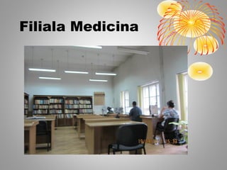 Filiala Medicina
 