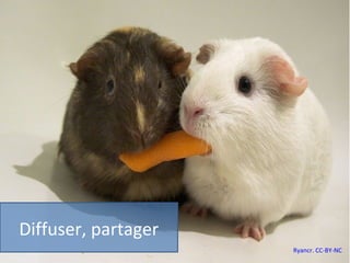Diffuser, partager
                     Ryancr. CC-BY-NC
 