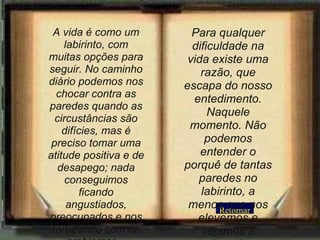 Retornar Para qualquer dificuldade na vida existe uma razão, que escapa do nosso entedimento. Naquele momento. Não podemos entender o porquê de tantas paredes no labirinto, a menos que nos elevemos e vejamos a situação completa. A vida é como um labirinto, com muitas opções para seguir. No caminho diário podemos nos chocar contra as paredes quando as circustâncias são difícies, mas é preciso tomar uma atitude positiva e de desapego; nada conseguimos ficando angustiados, preocupados e nos torturando com os problemas... 