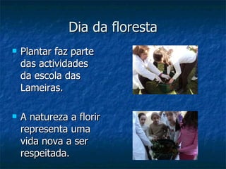 Dia da floresta Plantar faz parte das actividades  da escola das Lameiras. A natureza a florir  representa uma vida nova a ser respeitada.  