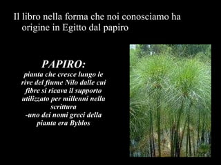 PAPIRO: pianta che cresce lungo le rive del fiume Nilo dalle cui fibre si ricava il supporto utilizzato per millenni nella scrittura -uno dei nomi greci della pianta era Byblos Il libro nella forma che noi conosciamo ha origine in Egitto dal papiro 