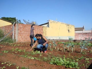 Biblioteca osvaldo cruz