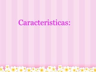 Caracteristicas: 