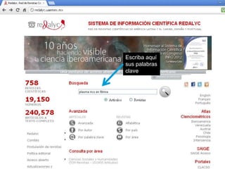 Escriba aquí sus palabras clave  