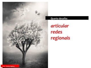 articular
redes
regionais
Quarto desafio:
Foto: Tommy Ingberg
 