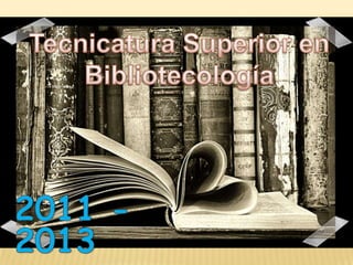 Bibliotecología 2011 2013