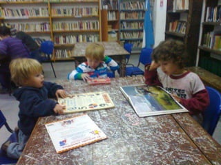 Bibliotecología 2011 2013