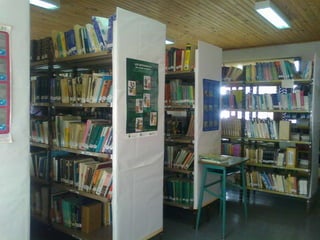 Bibliotecología 2011 2013
