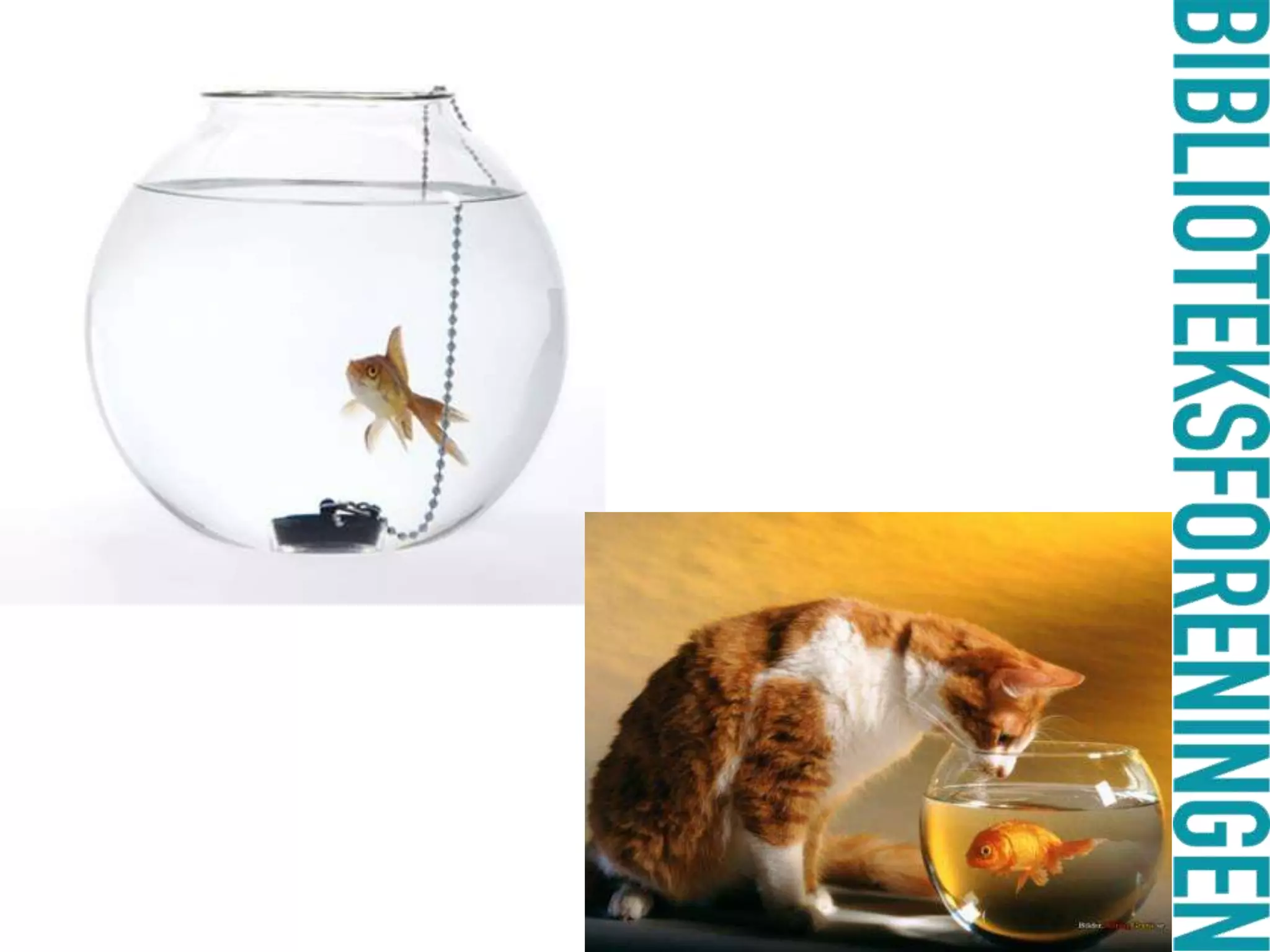 er andet end bare bøger