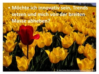 • Möchte ich innovativ sein, Trends
  setzen und mich von der breiten
  Masse abheben?




                     © http://www.flickr.com/photos/birgerkoeln/2501417279/
 