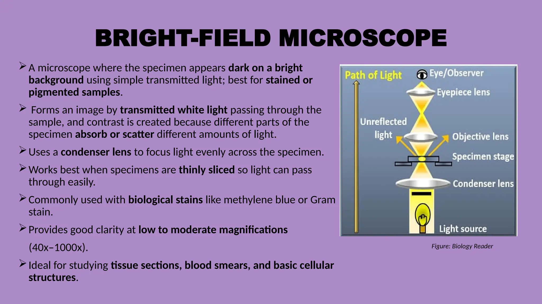 BRIGHT-FIELD MICROSCOPE
A microscope where the specimen appears dark on a bright
background using simple transmitted light; best for stained or
pigmented samples.
 Forms an image by transmitted white light passing through the
sample, and contrast is created because different parts of the
specimen absorb or scatter different amounts of light.
Uses a condenser lens to focus light evenly across the specimen.
Works best when specimens are thinly sliced so light can pass
through easily.
Commonly used with biological stains like methylene blue or Gram
stain.
Provides good clarity at low to moderate magnifications
(40x–1000x).
Ideal for studying tissue sections, blood smears, and basic cellular
structures.
Figure: Biology Reader
 