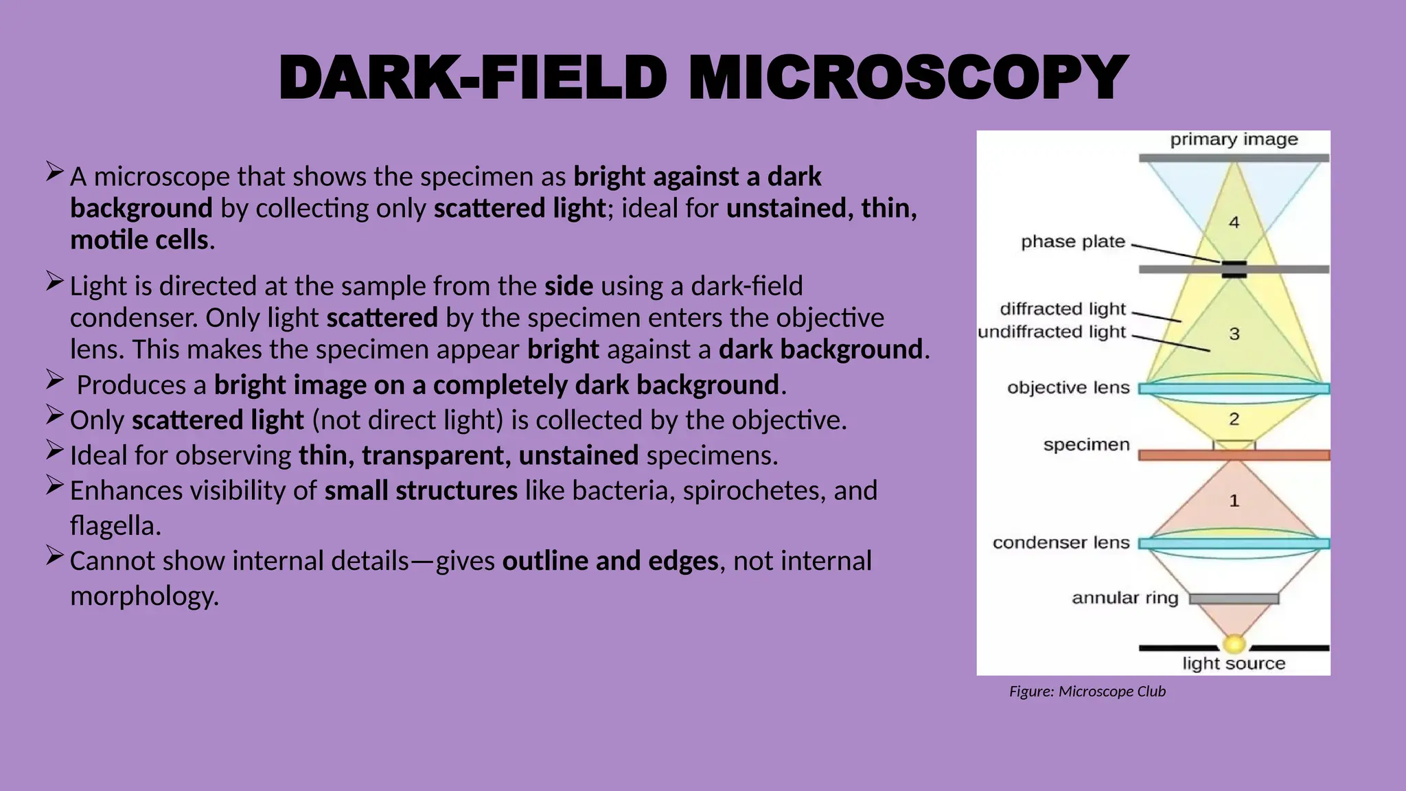DARK-FIELD MICROSCOPY
A microscope that shows the specimen as bright against a dark
background by collecting only scattered light; ideal for unstained, thin,
motile cells.
Light is directed at the sample from the side using a dark-field
condenser. Only light scattered by the specimen enters the objective
lens. This makes the specimen appear bright against a dark background.
 Produces a bright image on a completely dark background.
Only scattered light (not direct light) is collected by the objective.
Ideal for observing thin, transparent, unstained specimens.
Enhances visibility of small structures like bacteria, spirochetes, and
flagella.
Cannot show internal details—gives outline and edges, not internal
morphology.
Figure: Microscope Club
 