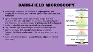 From Light to Super Resolution: Microscopy | PPTX