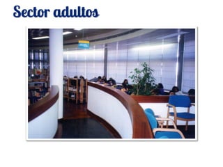Sector adultos
 