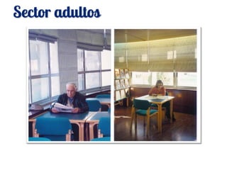 Sector adultos
 