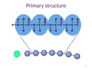 BIC 101- LEC 15-STRUCTURE OF PROTEINS-PRIMARY,SECONDARY,TERTIARY AND ...