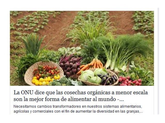 Bicarbonato de sodio en Cultivo de Pepino en Universidad Luterana Sal…