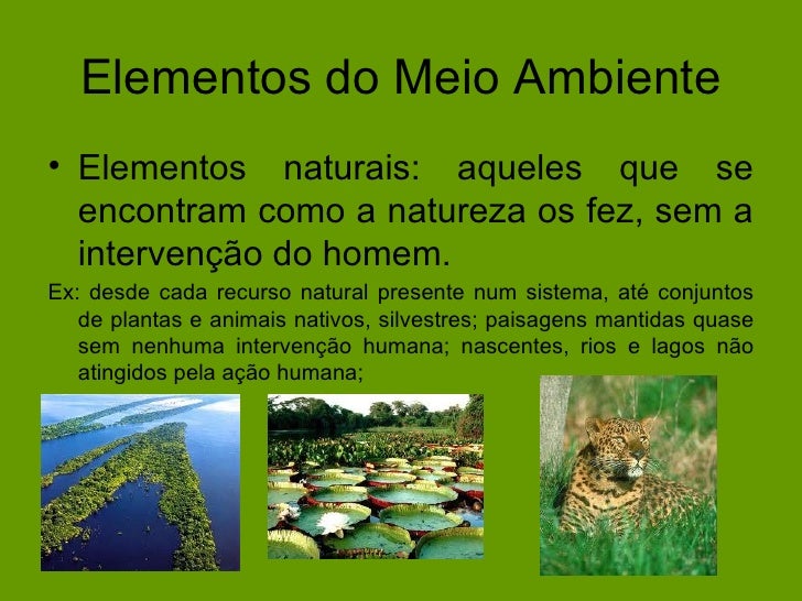 BICASTIRADENTES_MEIOAMBIENTE