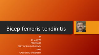 Bicep femoris tendinitis
BY
Dr S.ZAFAR
PROFESSOR
DEPT OF PHYSIOTHERAPY
SMAS
GALGOTIAS UNIVERSITY
 