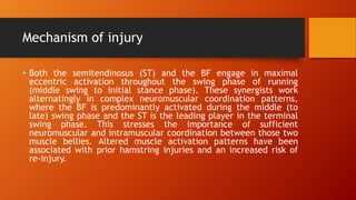 Mechanism of injury
• Both the semitendinosus (ST) and the BF engage in maximal
eccentric activation throughout the swing phase of running
(middle swing to initial stance phase). These synergists work
alternatingly in complex neuromuscular coordination patterns,
where the BF is predominantly activated during the middle (to
late) swing phase and the ST is the leading player in the terminal
swing phase. This stresses the importance of sufficient
neuromuscular and intramuscular coordination between those two
muscle bellies. Altered muscle activation patterns have been
associated with prior hamstring injuries and an increased risk of
re-injury.
 