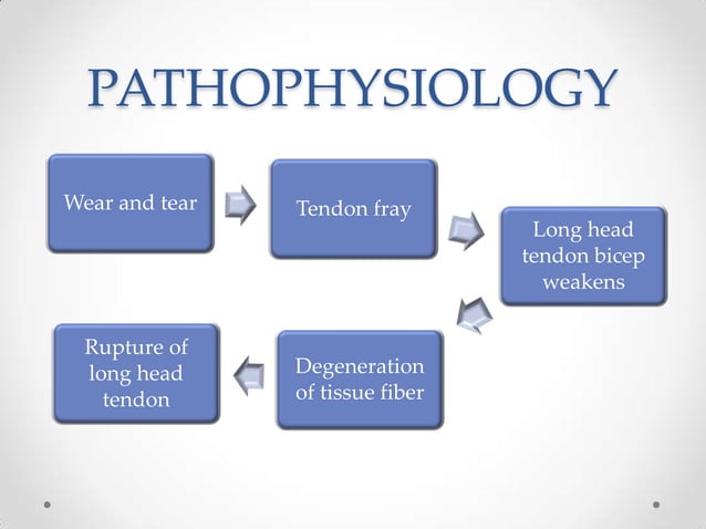 Biceps Tendon Rupture And Physiotherapy Management | PPTX